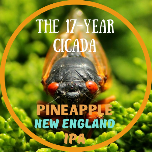 17 Year Cicada with Pineapple